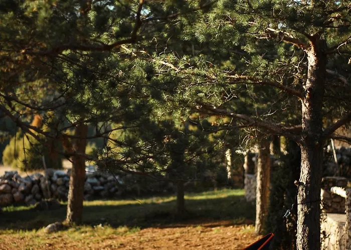 別荘 Vikendica Pino *